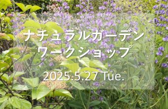 5月27日にワークショップを開催します！
