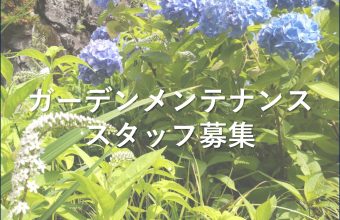 スタッフ募集のご案内