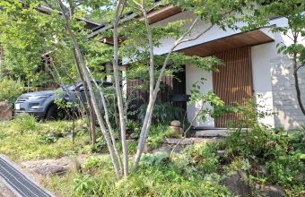 夏の日差しとナチュラルガーデン