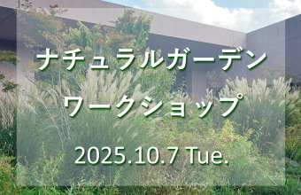 10月7日にワークショップを開催します！